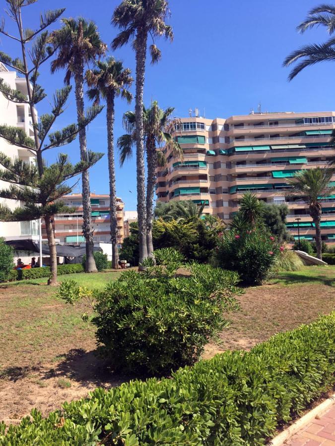 Apartmento Hana Con Terraza - Despues De La Renovacion General La Mata  Buitenkant foto